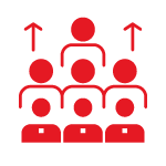Culture and Leadership Consulting